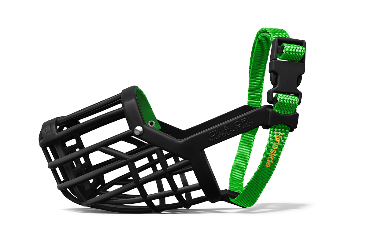 Kinoslide Chromo with coloured nylon strap